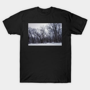 Winter's Arboreal Majesty T-Shirt